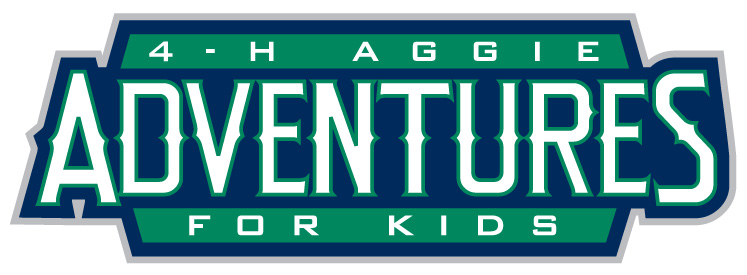 4h aggie adventure summer camp for kids in utah