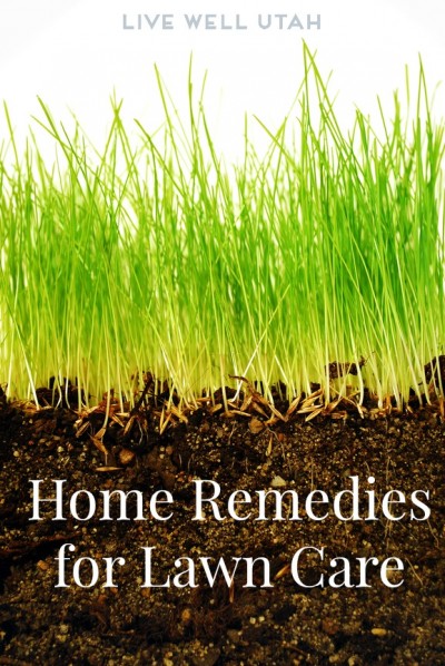 Home Remedies for Lawn Care 
