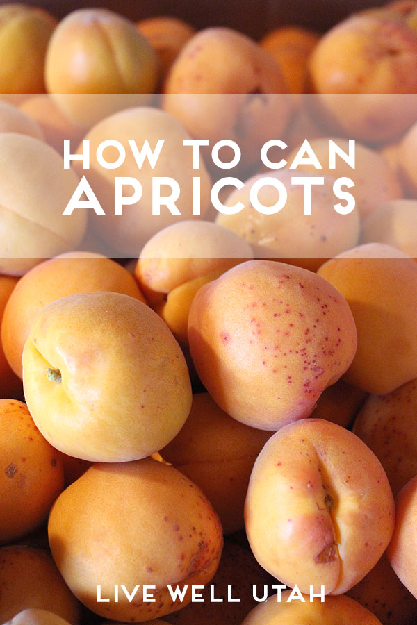 how to can apricots