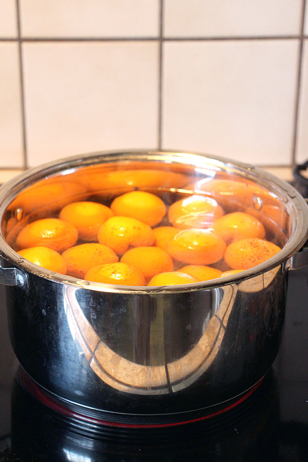 Summer Apricots and the best ways to enjoy them.