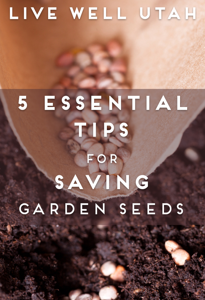 Saving Garden Seeds